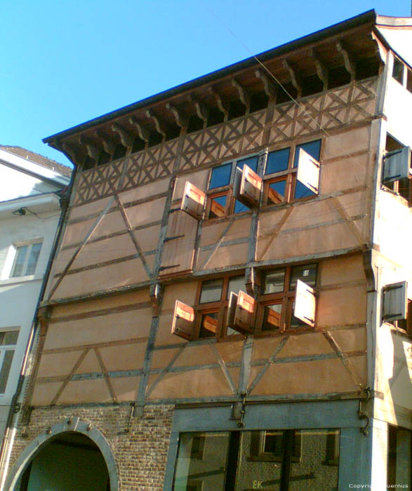 House 't Leerske HASSELT picture