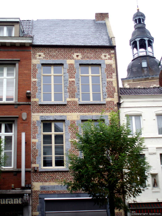 The Gulden Pitt HASSELT picture 