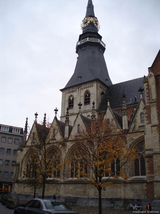 Sint-Quintinuskathedraal HASSELT / BELGIË 