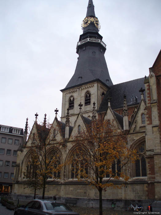 Sint-Quintinuskathedraal HASSELT / BELGI 