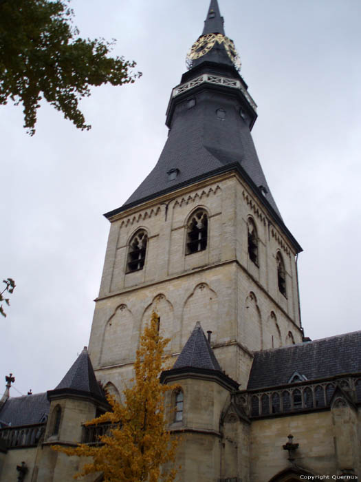 Cathdrale Saint-Quintin HASSELT photo 