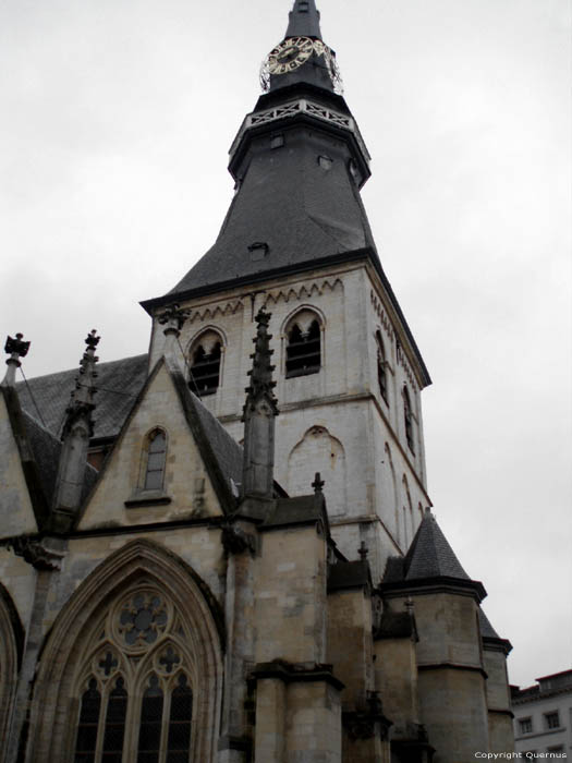 Sint-Quintinuskathedraal HASSELT foto 