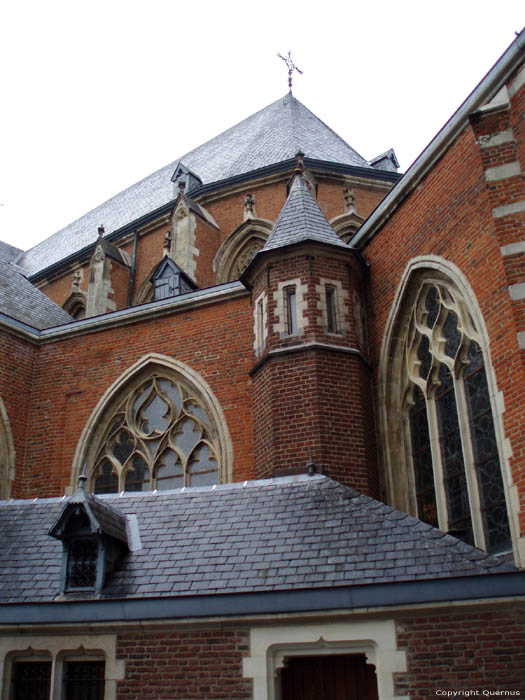 Cathdrale Saint-Quintin HASSELT / BELGIQUE 