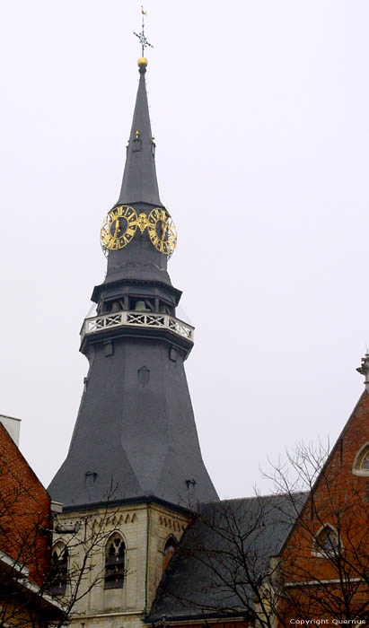 Sint-Quintinuskathedraal HASSELT foto 