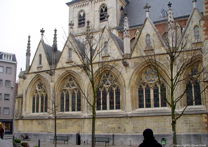 Cathdrale Saint-Quintin HASSELT photo 