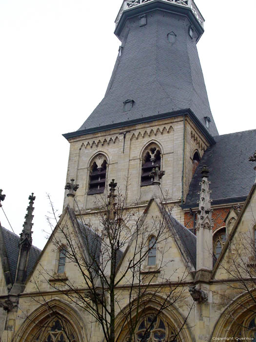 Sint-Quintinuskathedraal HASSELT / BELGI 