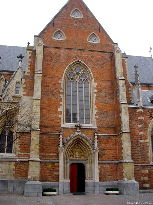 Sint-Quintinuskathedraal HASSELT / BELGI 