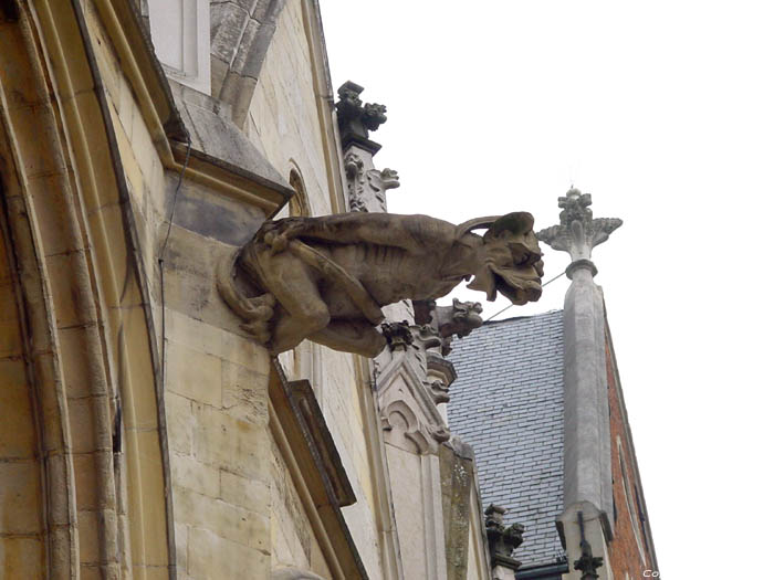 Saint Quintin's cathedral HASSELT / BELGIUM 