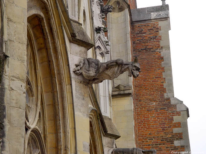 Sint-Quintinuskathedraal HASSELT / BELGI 