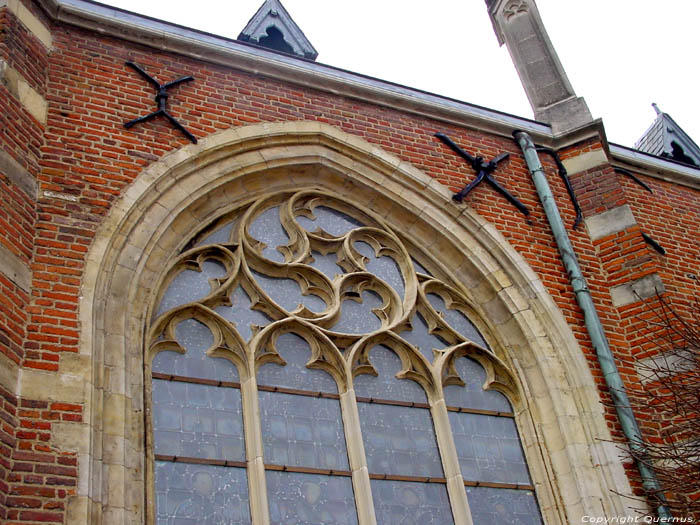 Saint Quintin's cathedral HASSELT / BELGIUM 