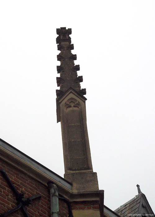 Saint Quintin's cathedral HASSELT / BELGIUM 