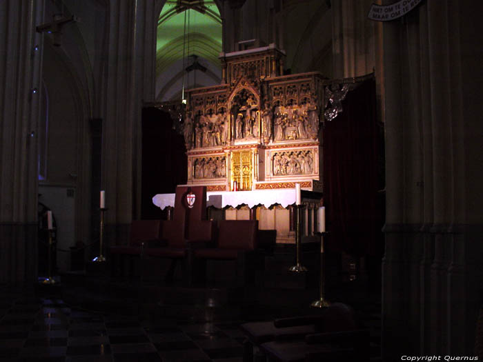 Sint-Quintinuskathedraal HASSELT foto 