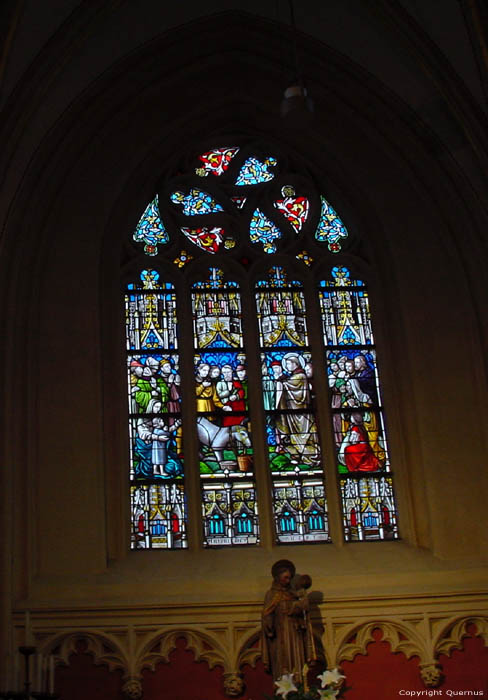 Saint Quintin's cathedral HASSELT / BELGIUM 