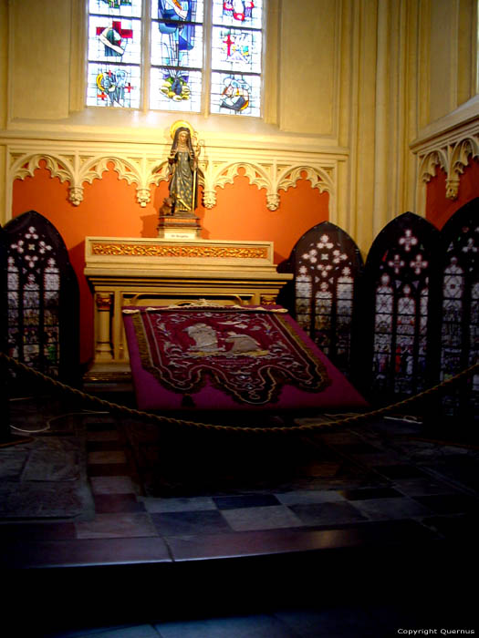 Cathdrale Saint-Quintin HASSELT / BELGIQUE 