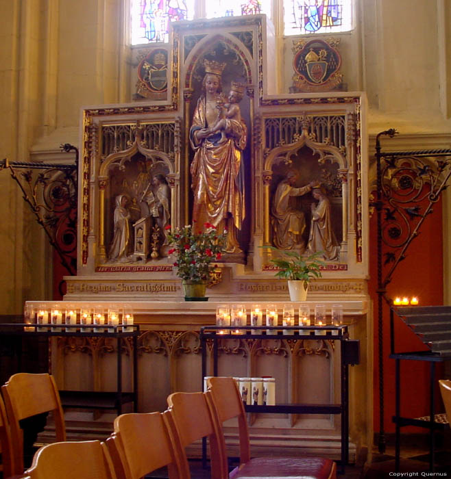 Cathdrale Saint-Quintin HASSELT / BELGIQUE 