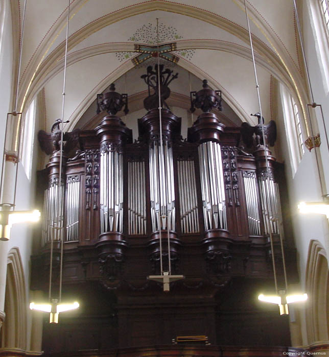 Saint Quintin's cathedral HASSELT / BELGIUM 