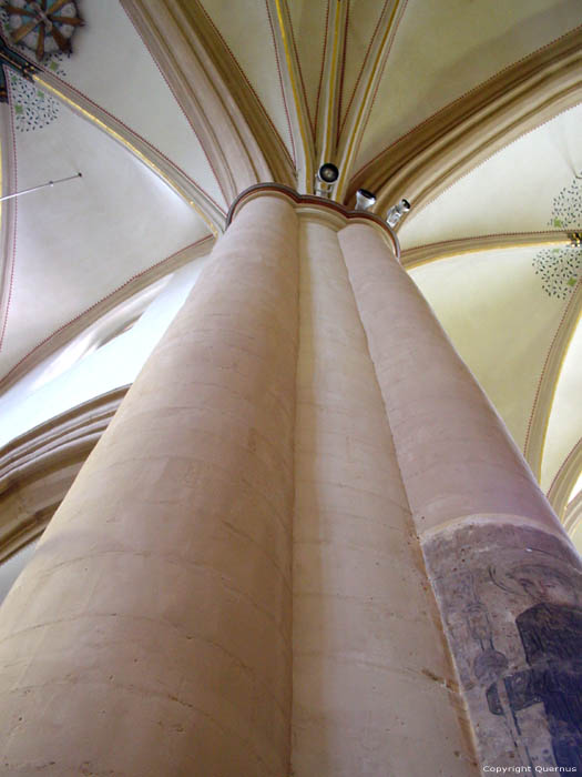 Cathdrale Saint-Quintin HASSELT photo 