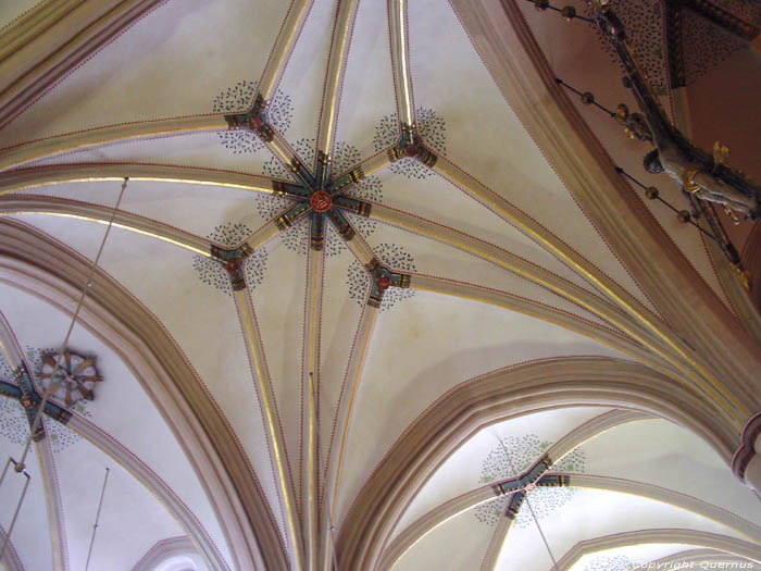 Cathdrale Saint-Quintin HASSELT photo 