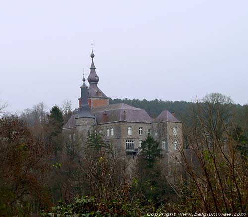 Kasteel van Vierves Vierves-sur-Viroin / VIROINVAL foto 