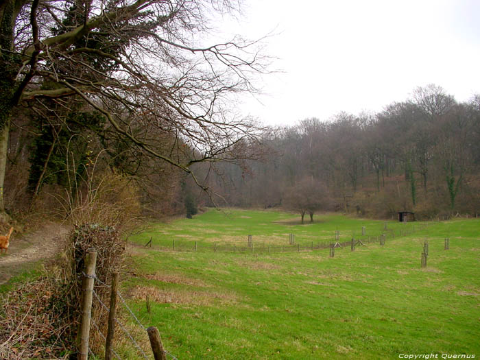 Landscape close to Veurs forest. TEUVEN in VOEREN / BELGIUM 