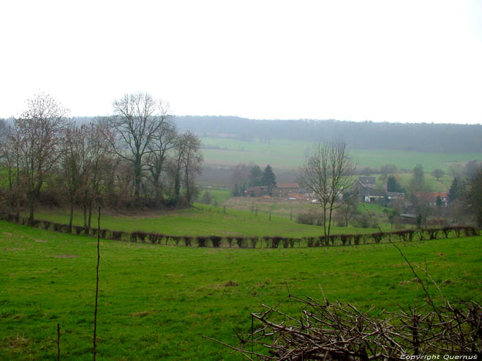 Paysage proche de la foret de Veurs TEUVEN  FOURONS / BELGIQUE 