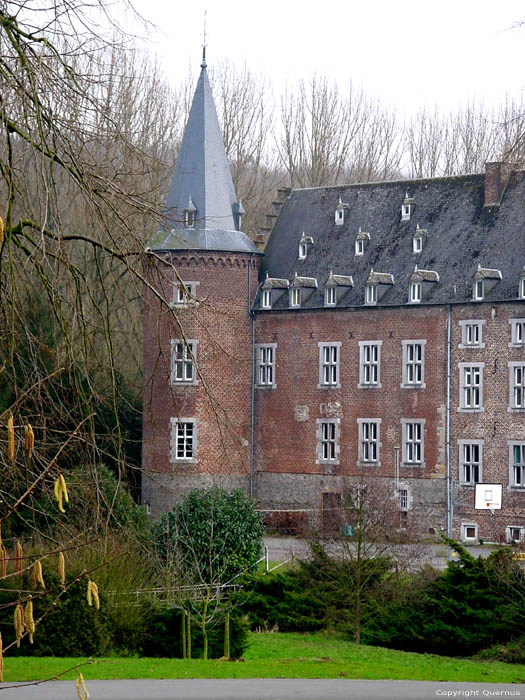 Opsinnich kasteel (te Teuven) - Castel Notre Dame TEUVEN / VOEREN foto 