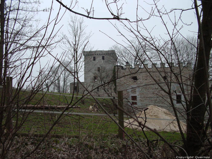 Kasteel van Alsemberg (te Moresnet) PLOMBIERES / BELGI 