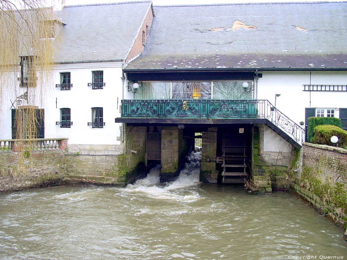 Belle Mill (in Teralfine) AFFLIGEM / BELGIUM 