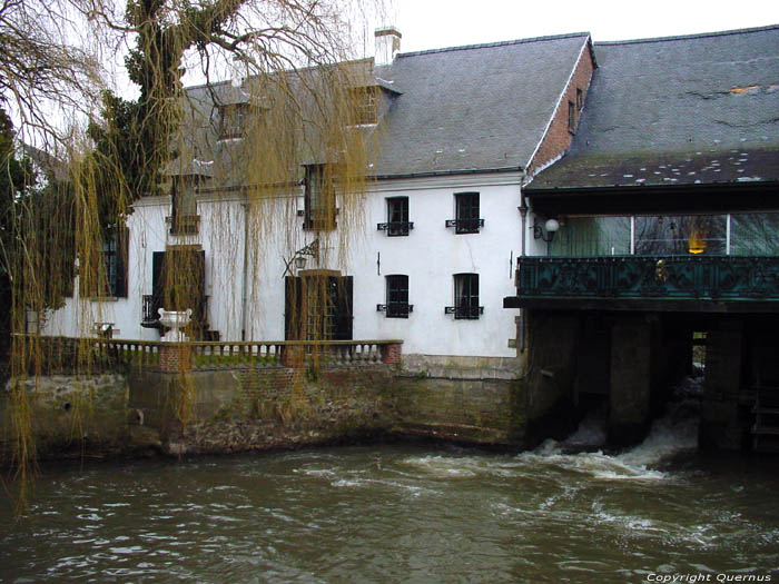 Belle Mill (in Teralfine) AFFLIGEM / BELGIUM 