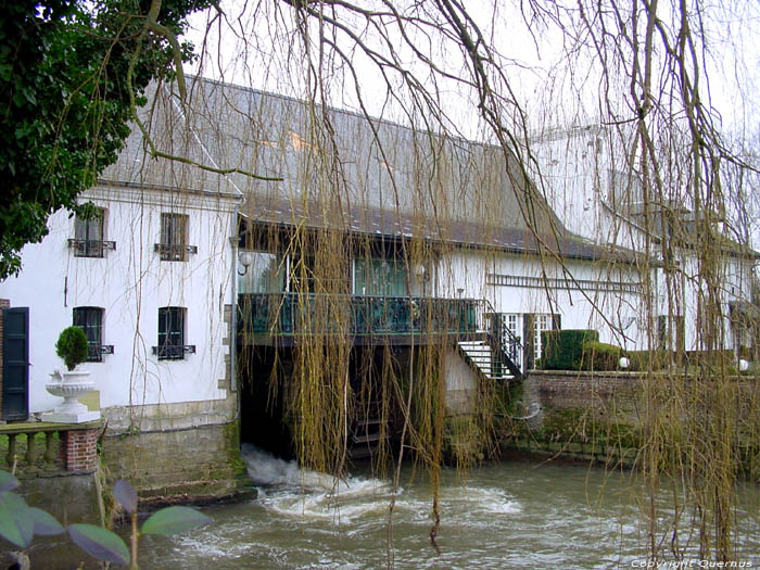 Belle Mill (in Teralfine) AFFLIGEM / BELGIUM 