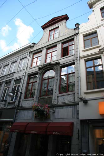 Golden Tree GHENT / BELGIUM 