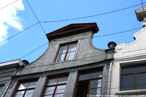 Arbre d'Or GAND / BELGIQUE 