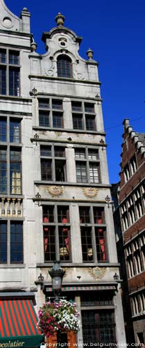 Den Hert - The Deer BRUSSELS-CITY / BRUSSELS picture