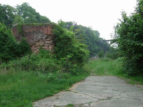 Rune bij spoorweg MONT-SAINT-GUIBERT foto 