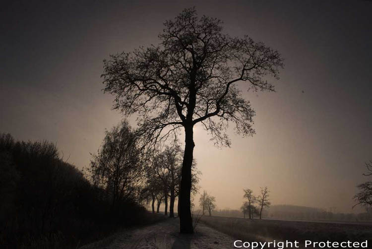 Winterlandschap: de Dijle MECHELEN / BELGI 