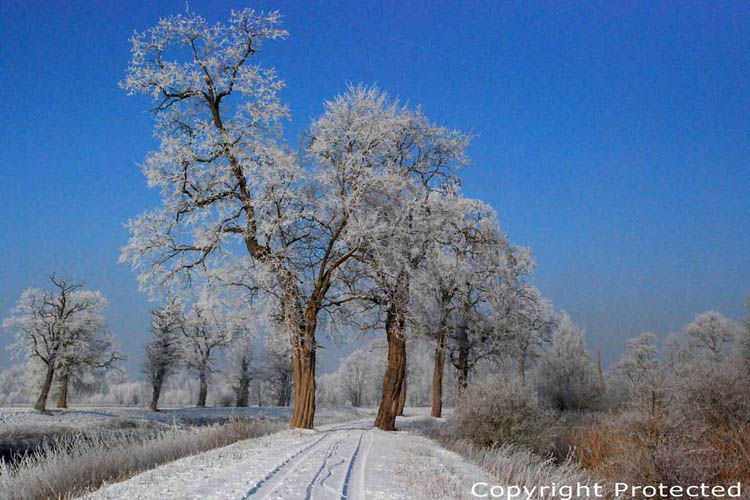 Snowy landscape of the Dyle river MECHELEN / BELGIUM 