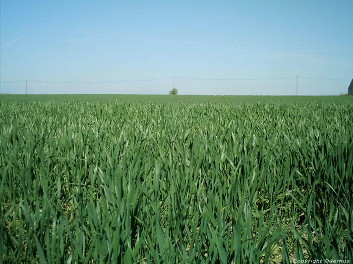 Landschap te Geest-Grompont RAMILLIES foto 