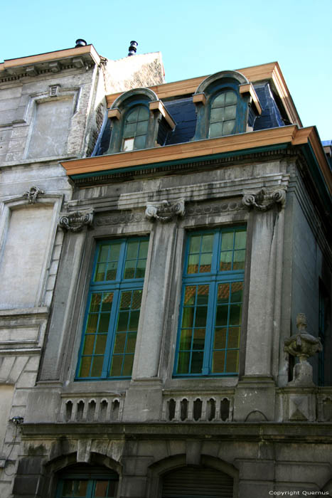 Toussyns' house GHENT picture 