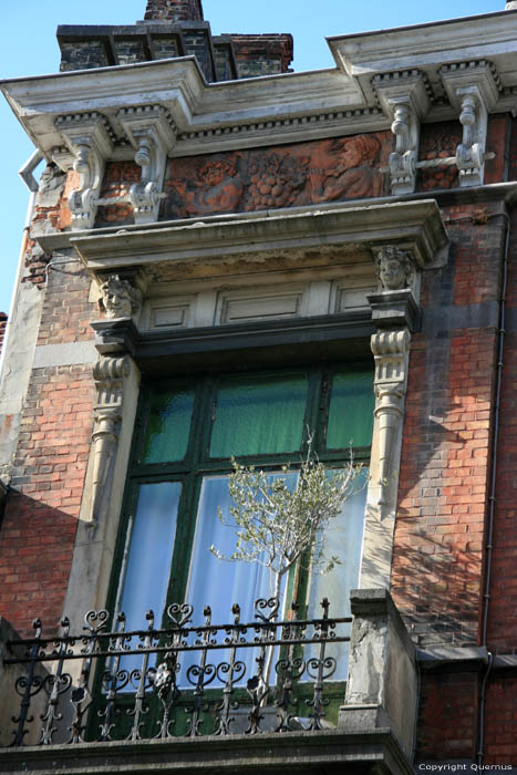 The Grapes Alley GHENT picture 