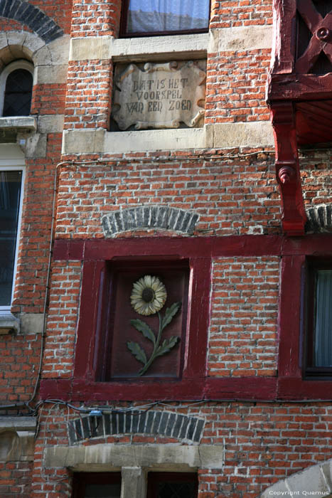 The Sunflower GHENT / BELGIUM 