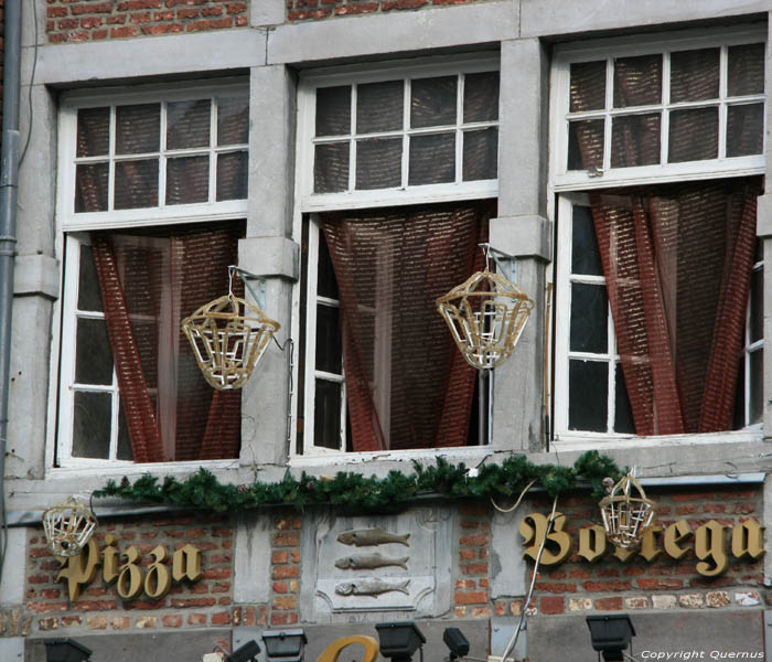 3 Poissons NAMUR / BELGIQUE 