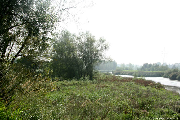 River Scheldt  MELLE / BELGIUM 