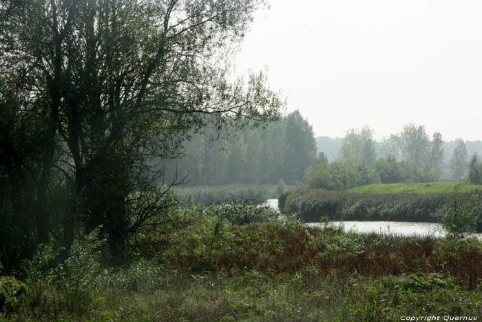 Scheldebekken MELLE / BELGI 