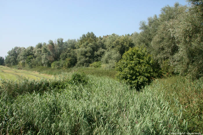 Kalkense Meersen - Former Scheldt arm (Schellebelle) WICHELEN / BELGIUM 