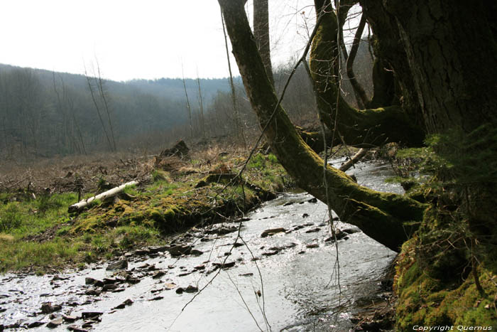 Haireu Brook (in Olloy-sur-Vioroin) Olloy-sur-Viroin in VIROINVAL / BELGIUM 