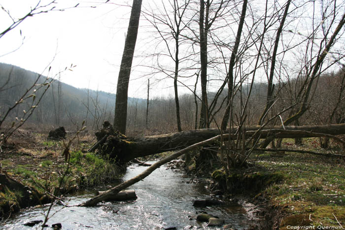 Haireu Beek (te Olloy-sur-Viroin) Olloy-sur-Viroin in VIROINVAL / BELGI 