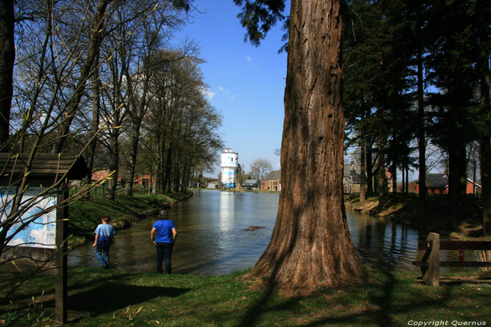 Etang les Goffes et chteau d'eau NASSOGNE / BELGIQUE 