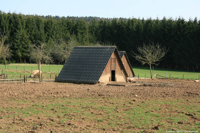 Magerotte varkenskwekerij NASSOGNE foto
