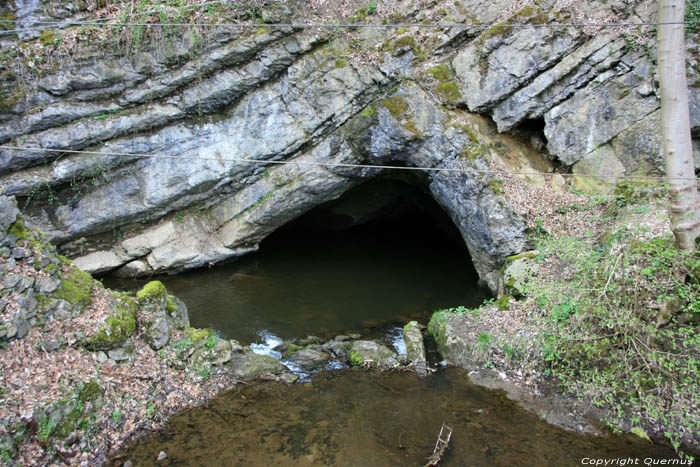 Grotte de l'Adujour NAMUR  COUVIN / BELGIQUE 