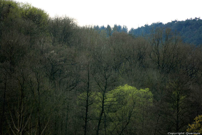 Early Spring pricture COUVIN / BELGIUM 